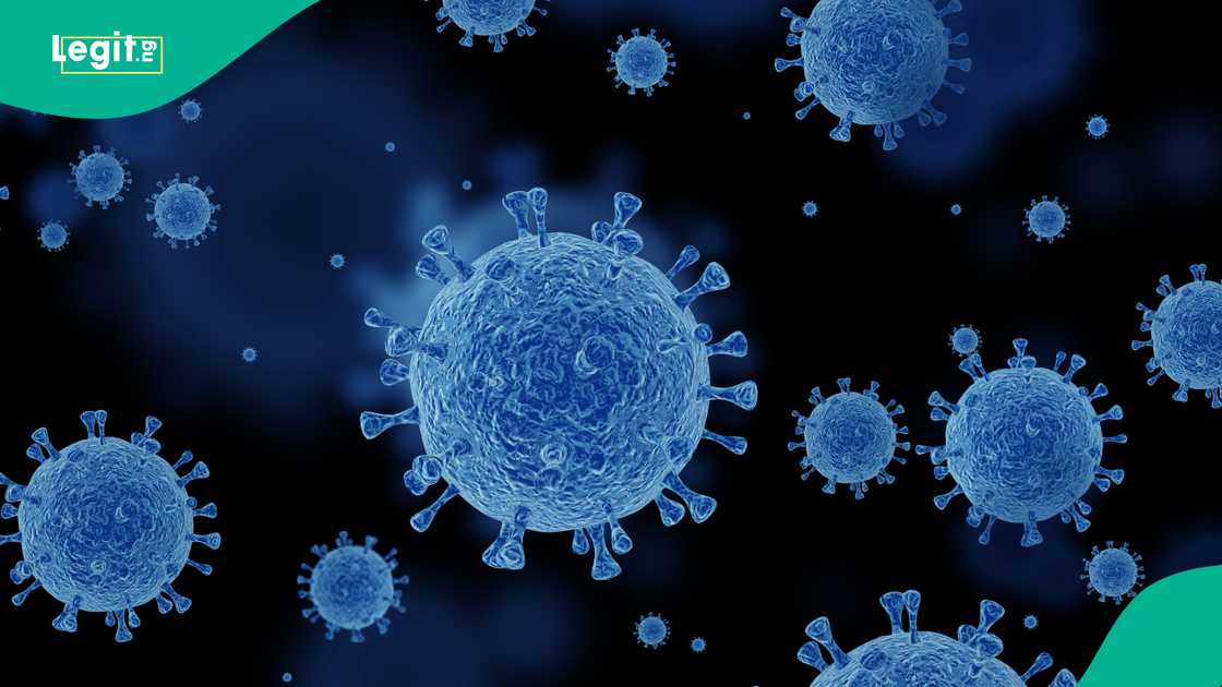 Anthrax outbreak in Zamfara state has been confirmed by FG. Anthrax outbreak in Zamfara state has been confirmed by FG.