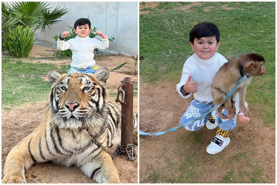 Abdu Rozik Abdu Rozik