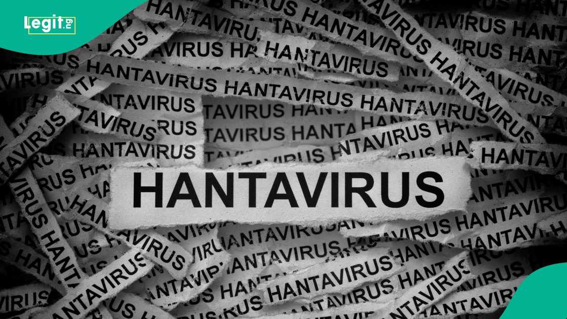Global health experts stress safe travel for World Cup 2026 during hantavirus monitoring