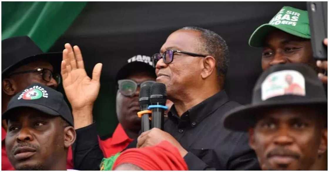 Peter Obi/Peter Obi news/Peter Obi news today/latest about Peter Obi Peter Obi/Peter Obi news/Peter Obi news today/latest about Peter Obi