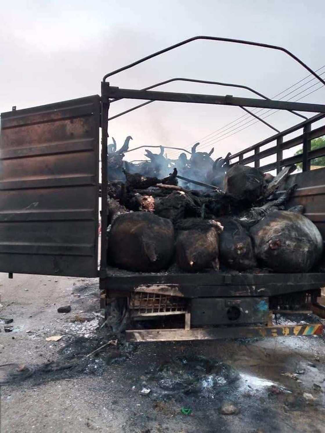 Yanzu-yanzu: Wasu matasa sun bankawa mota jibge da shanu wuta bayan buge wani yaro (Hotuna) Yanzu-yanzu: Wasu matasa sun bankawa mota jibge da shanu wuta bayan buge wani yaro (Hotuna)