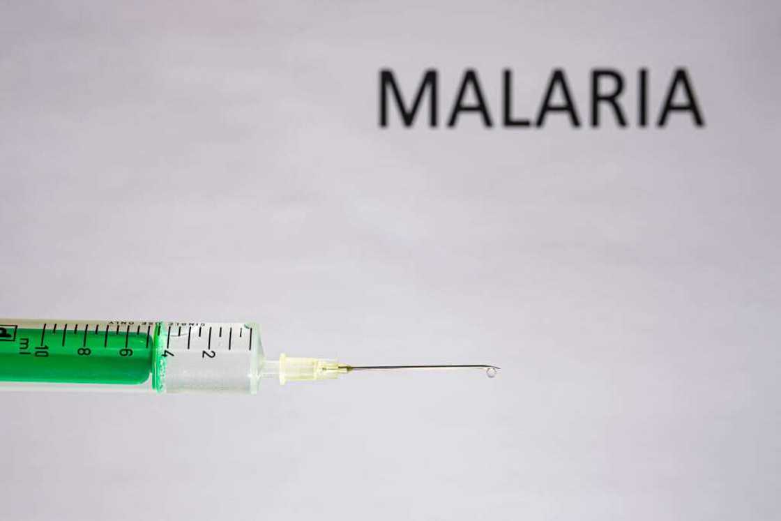 malaria vaccine