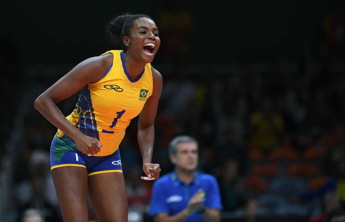 hottest female volleyball players hottest female volleyball players