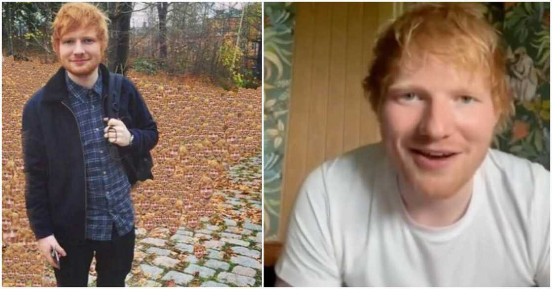 Ed Sheeran's simple clothes. Ed Sheeran's simple clothes.