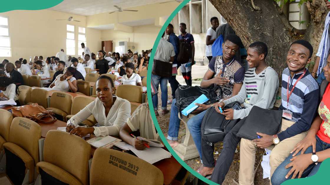 Nigerian students at the Lagos University preparing for their post-UTME forms Nigerian students at the Lagos University preparing for their post-UTME forms