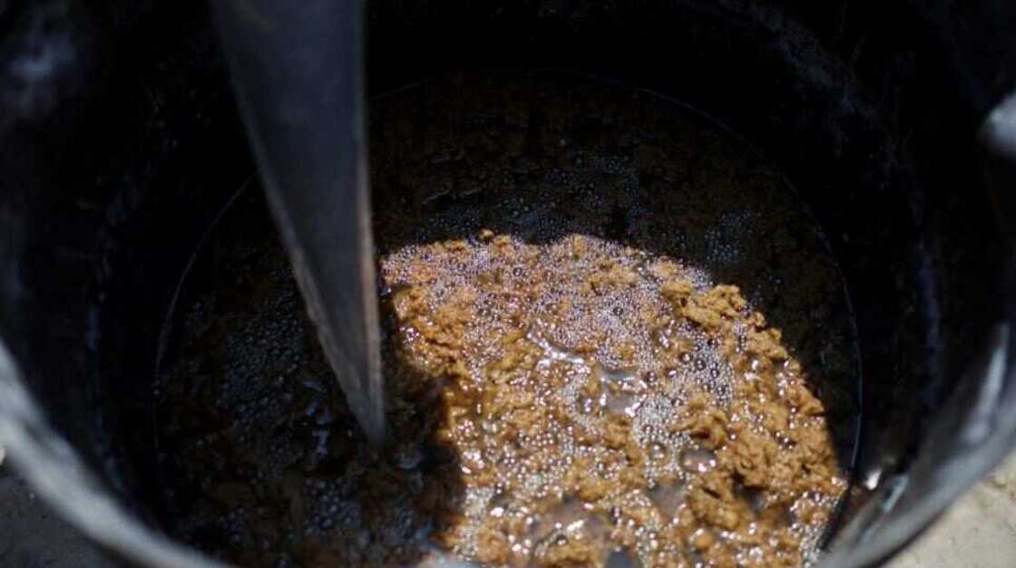 India Factory/Soft Toys/Cigarette Stubs India Factory/Soft Toys/Cigarette Stubs