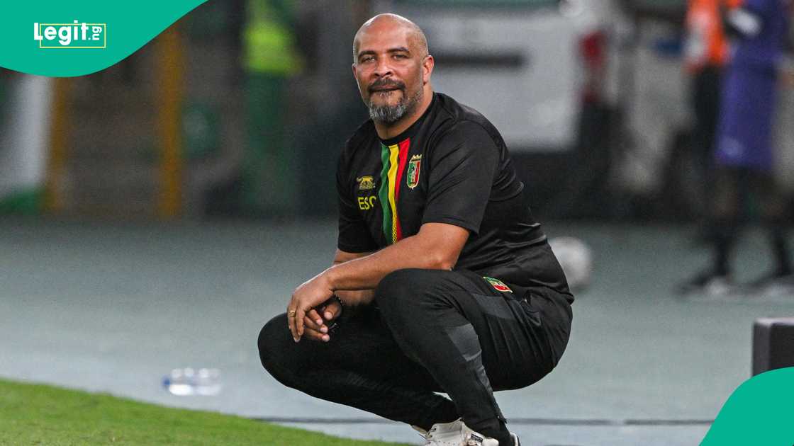 Eric Chelle wants more from Super Eagles players. Eric Chelle wants more from Super Eagles players.