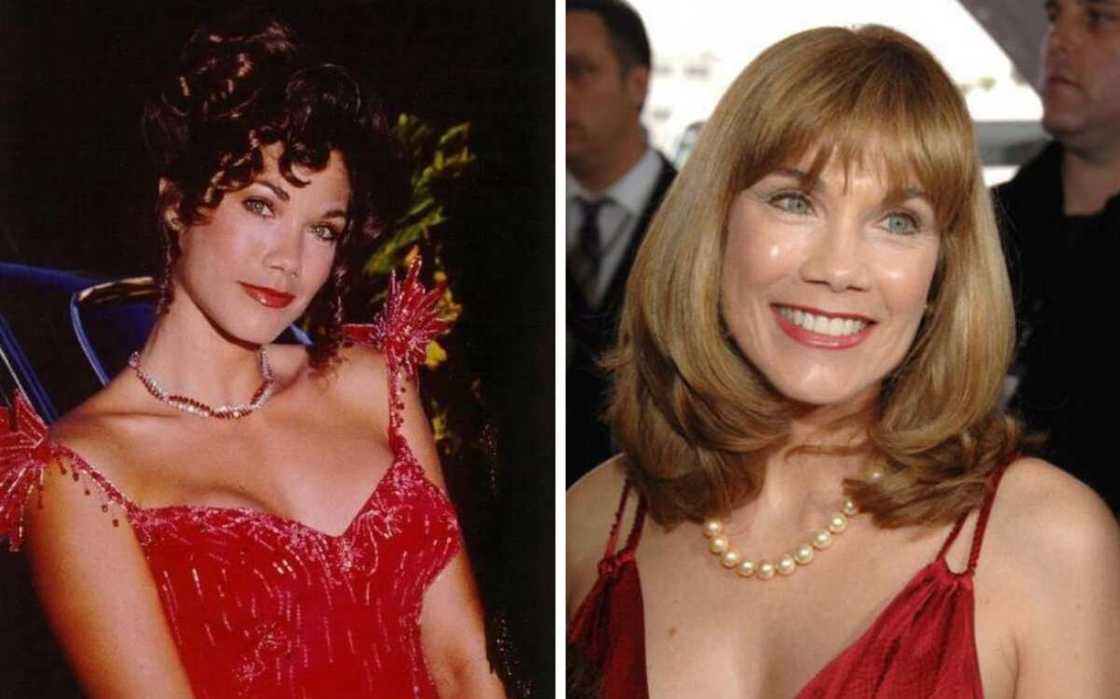 Barbi Benton then and now: see recent photos of the model Barbi Benton then and now: see recent photos of the model