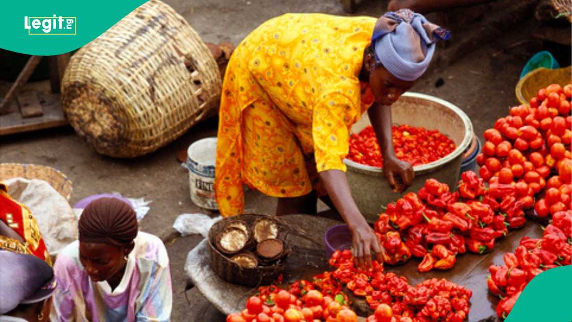Traders quote new pepper, tomato basket prices Traders quote new pepper, tomato basket prices