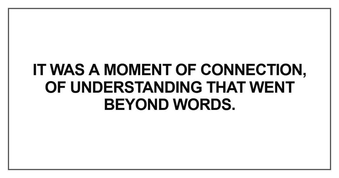 It was a moment of connection, of understanding that went beyond words It was a moment of connection, of understanding that went beyond words