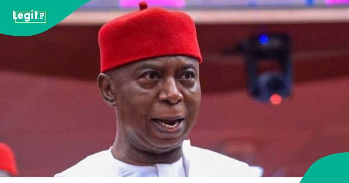 Ned Nwoko is under scrutiny Ned Nwoko is under scrutiny