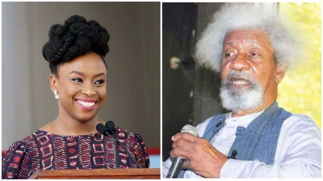 Chimamanda Adichie, Peter Obi, Obidients, Wole Soyinka, 2023 presidential election, INEC