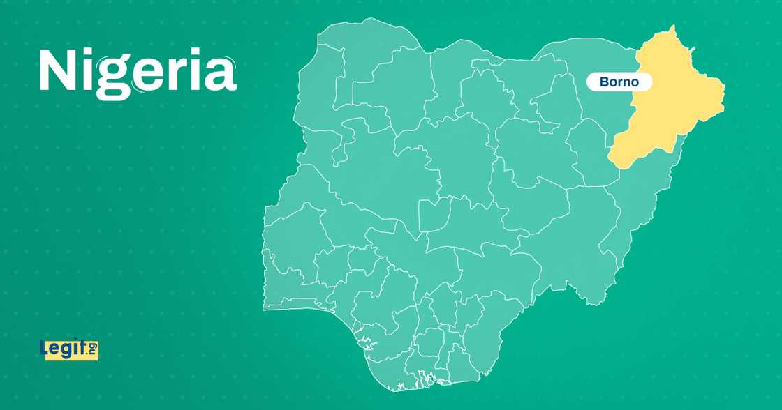 Borno flood survivor desperately searches for missing wife and five children Borno flood survivor desperately searches for missing wife and five children