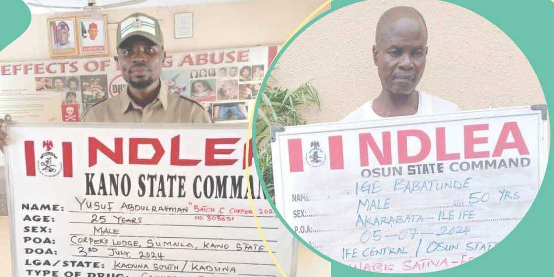 NDLEA ta cafke mai bautar kasa a Kano da wani basarake