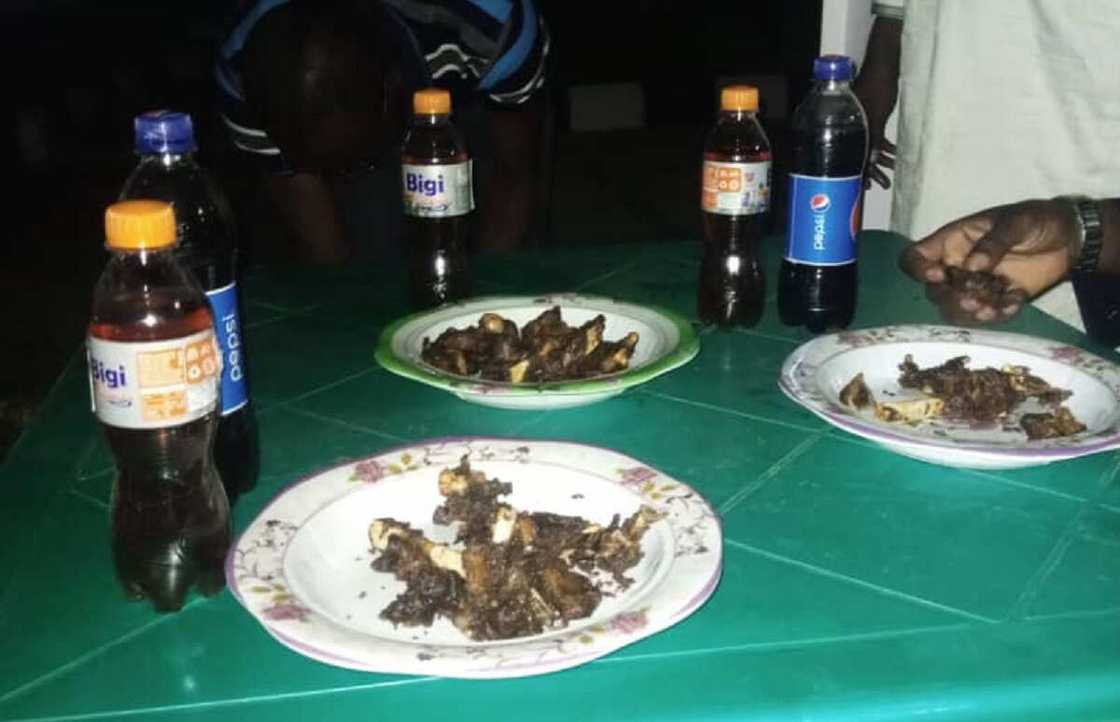 Bakatsine ya yanka rago, ya shirya kayatacciyar liyafar dawowar Buhari daga London Bakatsine ya yanka rago, ya shirya kayatacciyar liyafar dawowar Buhari daga London