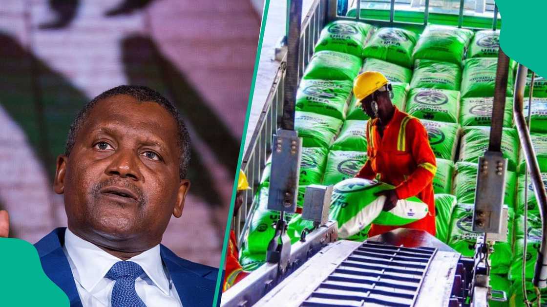 Dangote Fertiliser Limited is one of the largest fertiliser producers in the world.