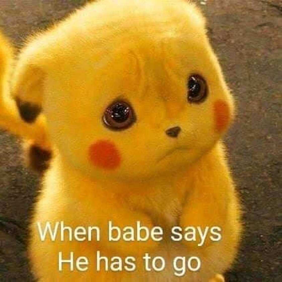 cute love memes cute love memes