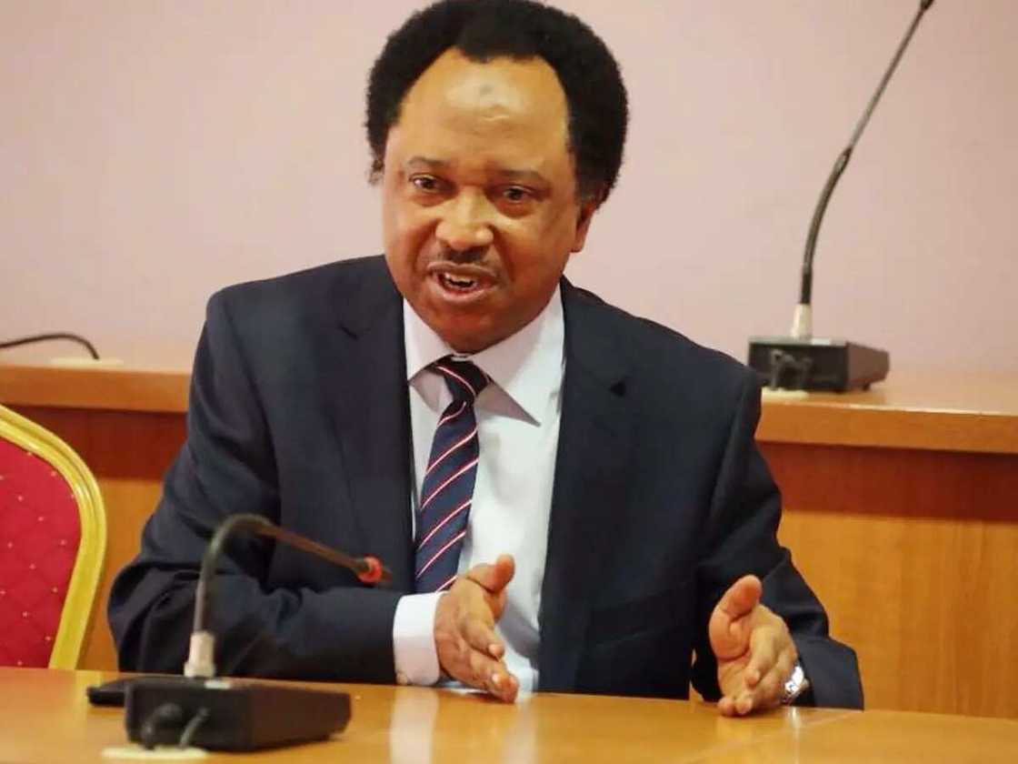 Shehu Sani reacts to stealing of Lagos monarch's office staff