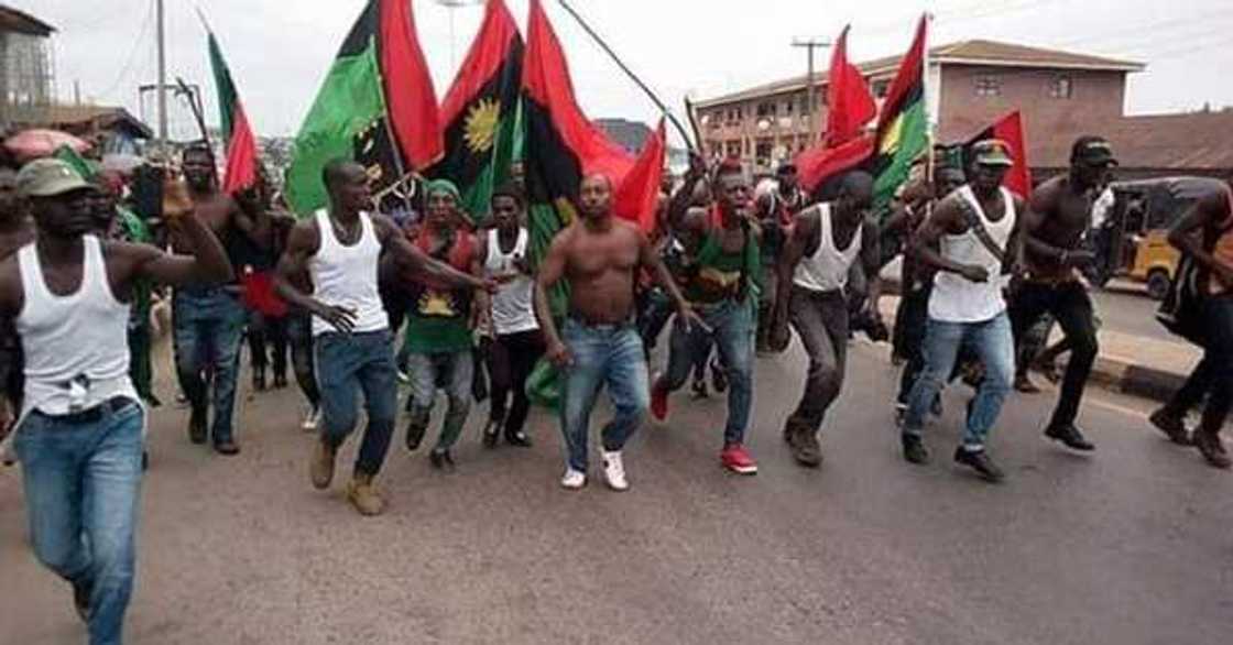 IPOB ta haramta cin naman shanun Fulani a kudu maso gabashin Najeriya IPOB ta haramta cin naman shanun Fulani a kudu maso gabashin Najeriya