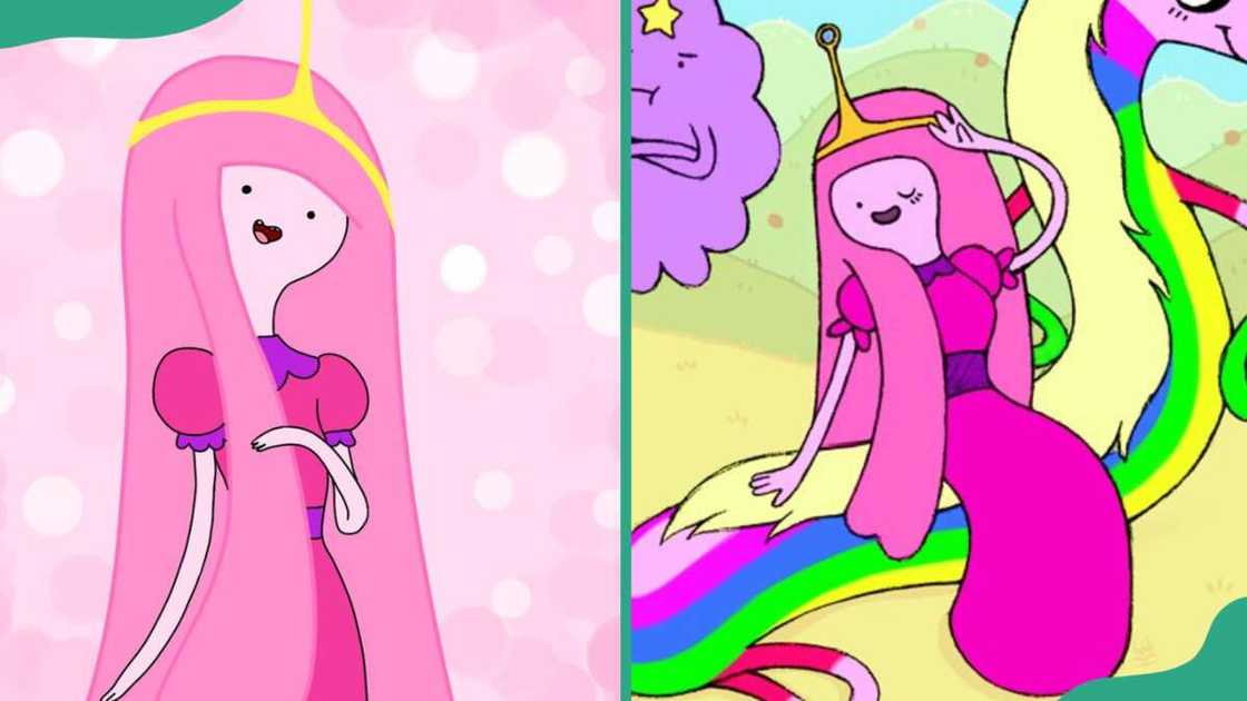 Princess Bubblegum from Adventure Time Princess Bubblegum from Adventure Time