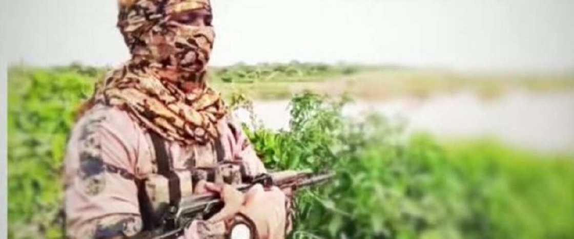 Bidiyo: Boko Haram ta tabbatar da ƙulla kawancenta da 'yan bindigan Niger Bidiyo: Boko Haram ta tabbatar da ƙulla kawancenta da 'yan bindigan Niger
