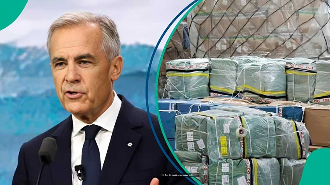 Canada names 3 goods travellers can bring in without paying customs duty Canada names 3 goods travellers can bring in without paying customs duty