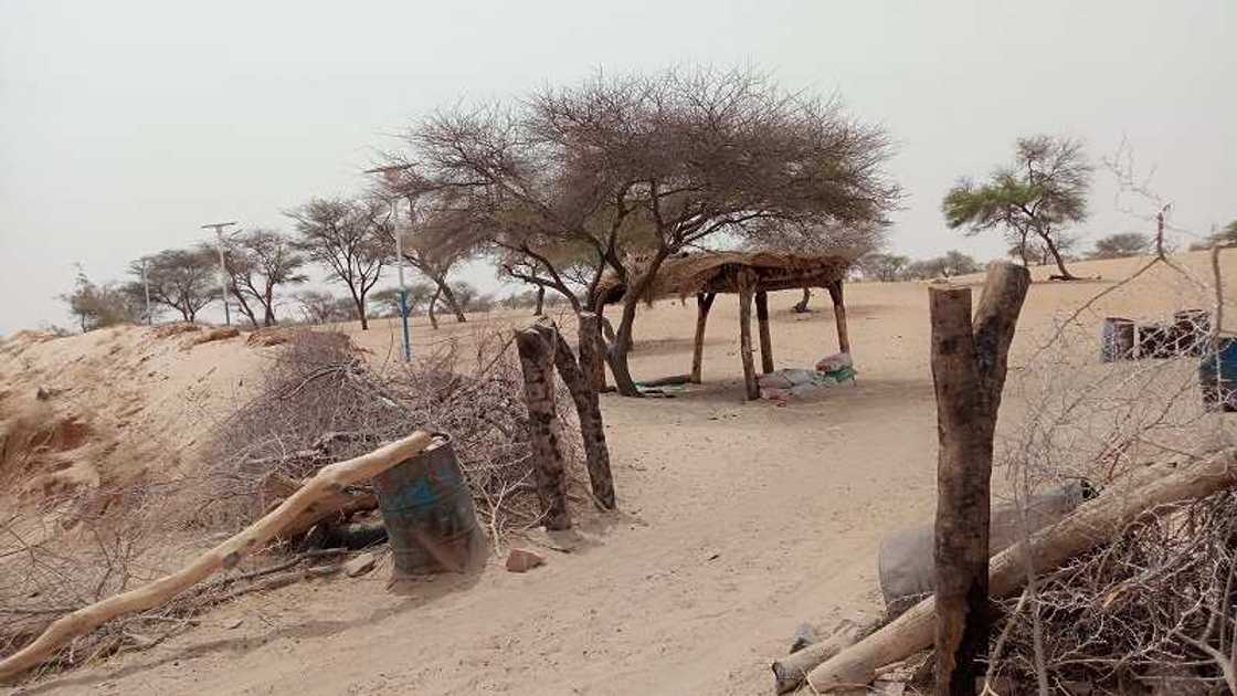 Karamar hukuma a Yobe ta saka fitilun kan hanya 44 don yin maganin masu kai hari Karamar hukuma a Yobe ta saka fitilun kan hanya 44 don yin maganin masu kai hari