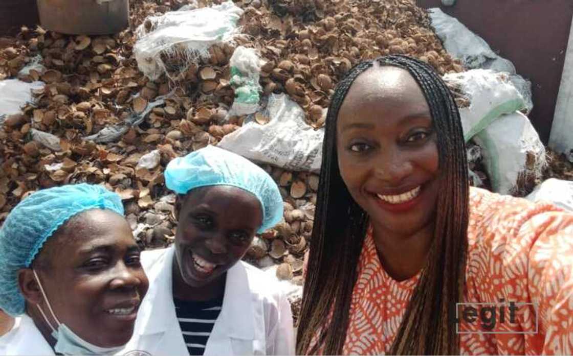 JAM Coconut Food company JAM Coconut Food company