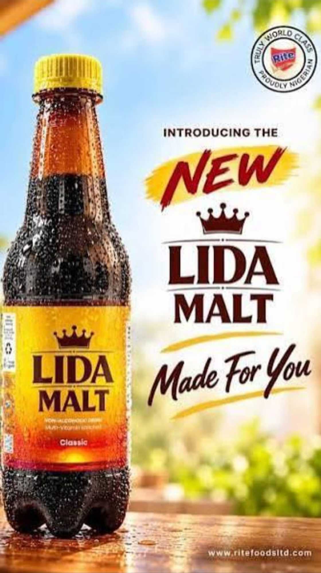 Rite Foods Unveils LIDA Malt Beverage Drink Brand, distinctively “Made for You” Rite Foods Unveils LIDA Malt Beverage Drink Brand, distinctively “Made for You”