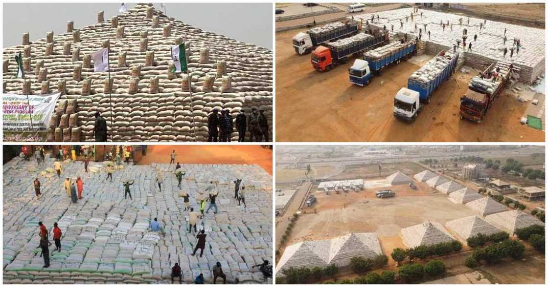 rice pyramids rice pyramids