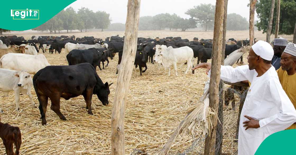 Shugaba Buhari a gonar shi ta Daura a 2017