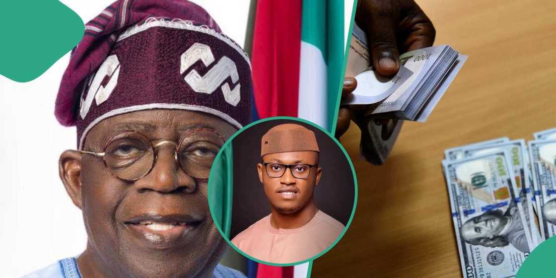 Obinna Nwosu explains what Tinubu’s govt is doing to make naira appreciate Obinna Nwosu explains what Tinubu’s govt is doing to make naira appreciate