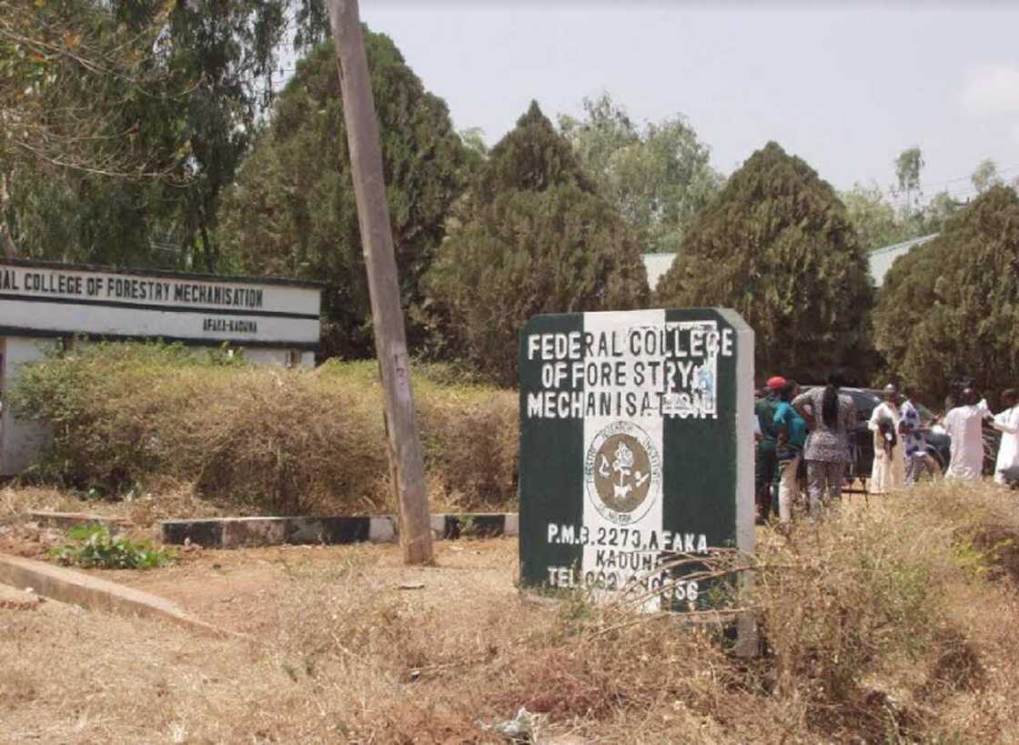 Sojoji sun kubutar da dalibai 5 daga cikin 39 da 'yan bindiga suka sace a Kaduna Sojoji sun kubutar da dalibai 5 daga cikin 39 da 'yan bindiga suka sace a Kaduna