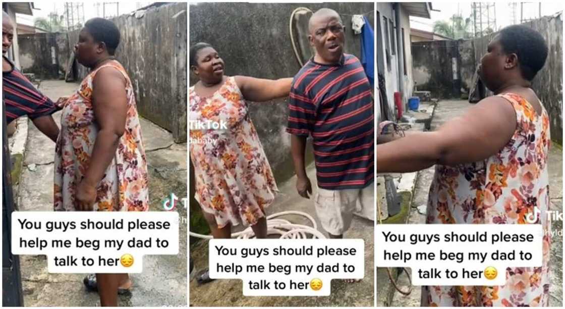 Photos of a man and his wife after she shaved her hair without her hair without his approval. Photos of a man and his wife after she shaved her hair without her hair without his approval.