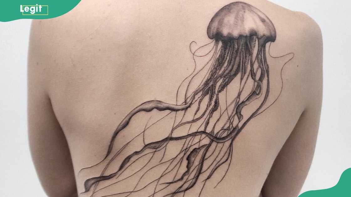 Jellyfish back tattoo