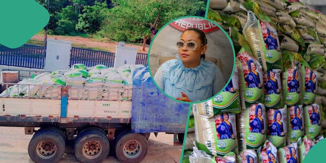 Senator Natasha/Christmas Rice Senator Natasha/Christmas Rice