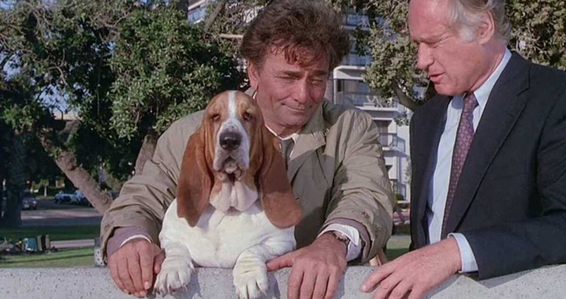 Columbo et son chien