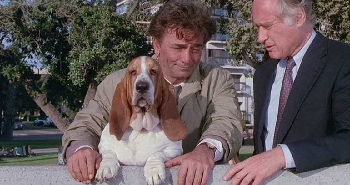 Columbo et son chien Columbo et son chien