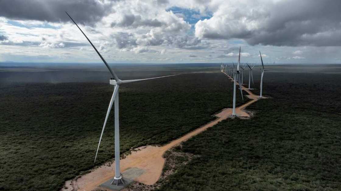 The Canudos Wind Energy Complex is one of many wind projects in Brazil's northeast, where energy and conservation demands can be at odds The Canudos Wind Energy Complex is one of many wind projects in Brazil's northeast, where energy and conservation demands can be at odds
