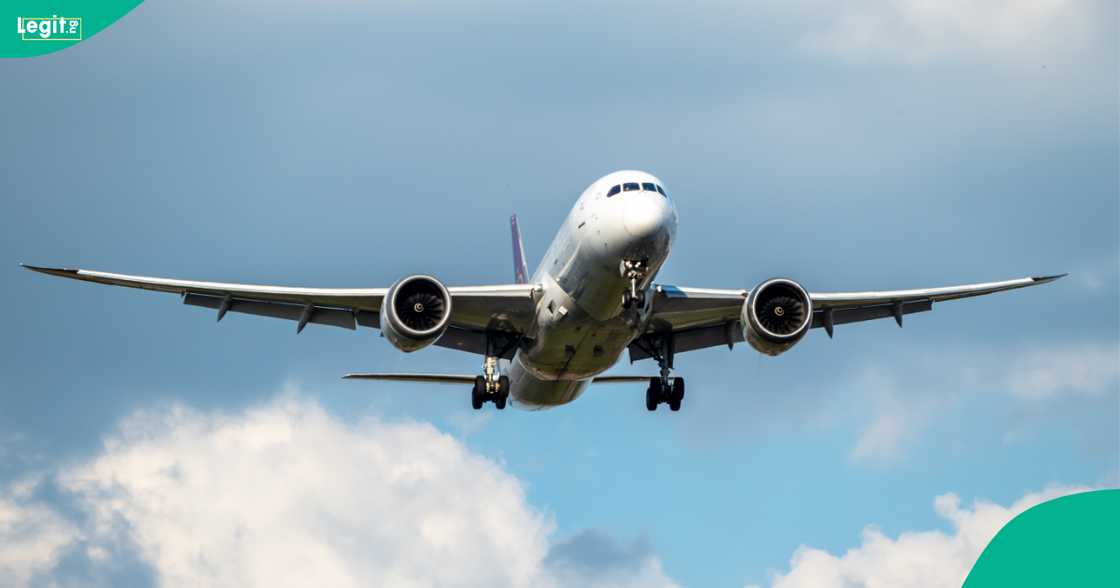 Rare Video Shoaws Passengers Climbing Off Plane Wings After Emergency Landing, Reason Emerges Rare Video Shoaws Passengers Climbing Off Plane Wings After Emergency Landing, Reason Emerges