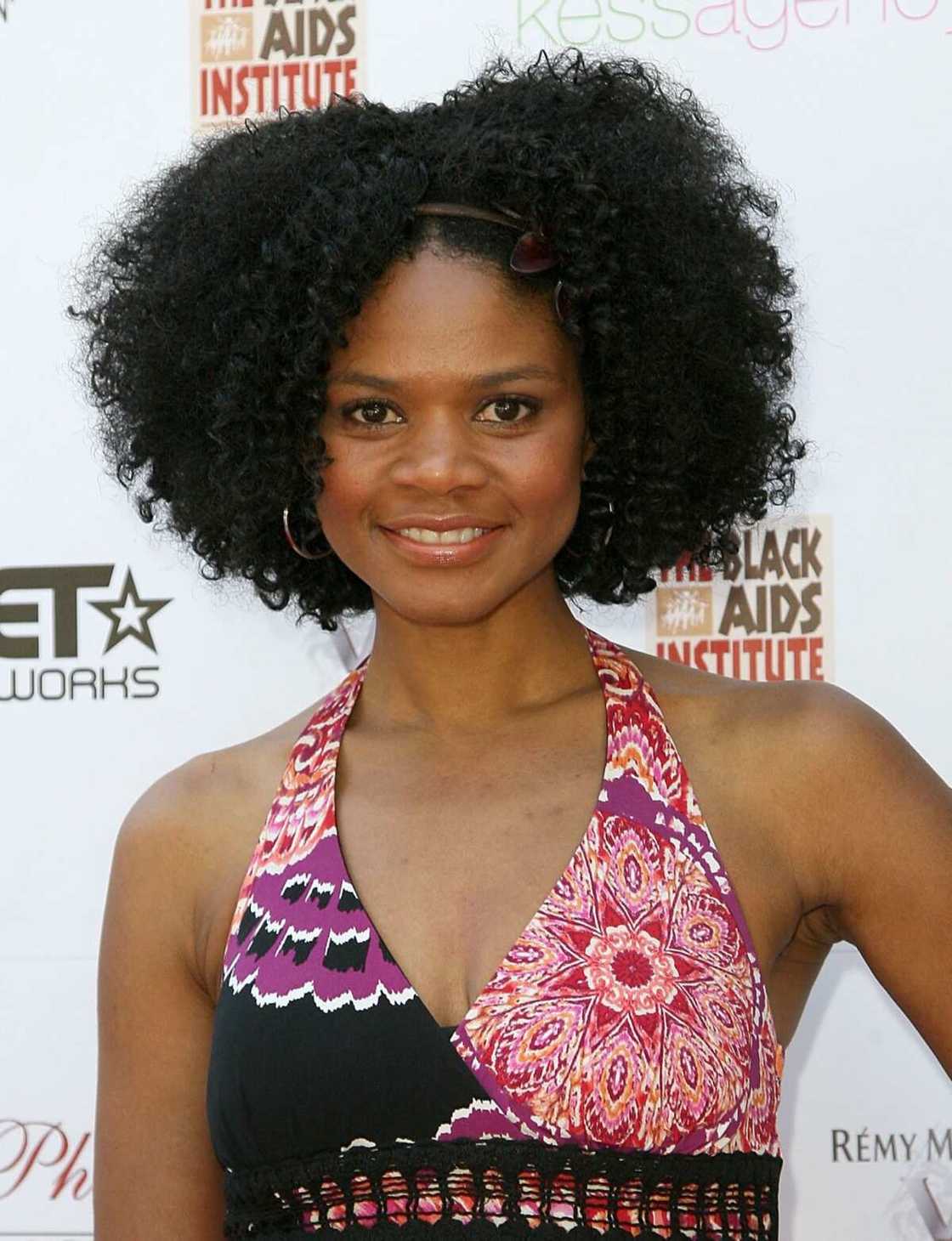 Afro hair styles for ladies Afro hair styles for ladies