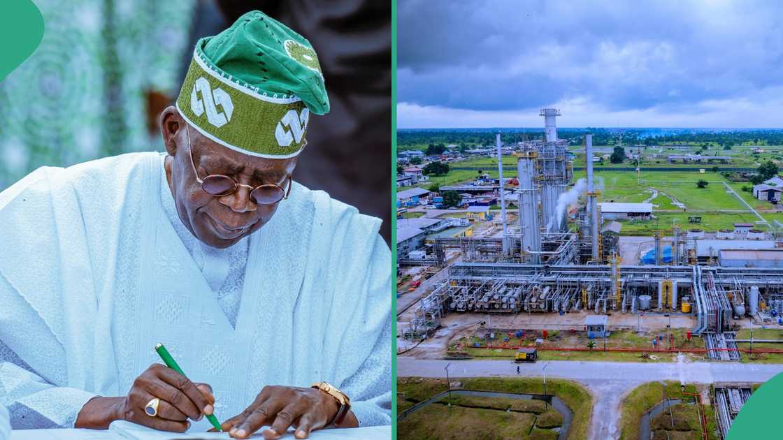 President Bola Tinubu has praised former President Muhammadu Buhari for the revitalisation of the Port Harcourt.