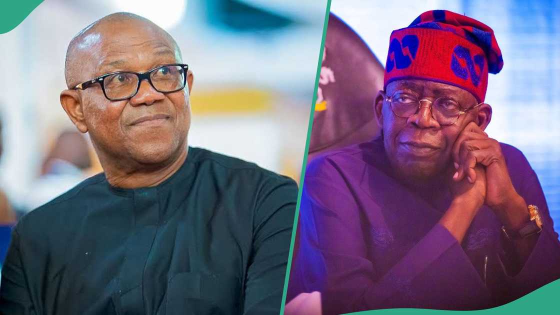 Obi blasts Tinubu for comparing him to Donald Trump