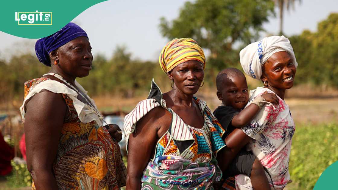 A new report by the Institute for Economics and Peace (IEP) lists the most peaceful countries in Africa, with Mauritius, Botswana, and Namibia leading the chart. A new report by the Institute for Economics and Peace (IEP) lists the most peaceful countries in Africa, with Mauritius, Botswana, and Namibia leading the chart.