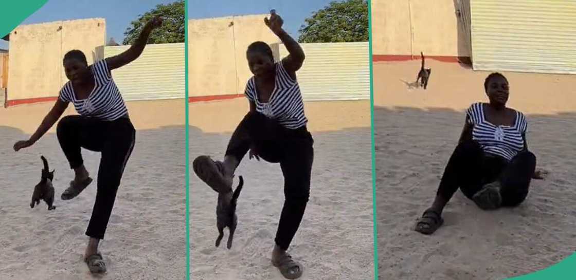Lady lands on the floor after stepping on cat. Lady lands on the floor after stepping on cat.
