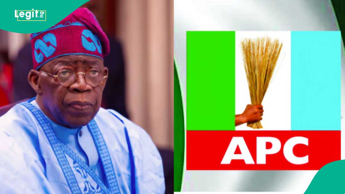 APC Reps Primaries: Tinubu, Party Leadership Urged to intervene in Ekiti