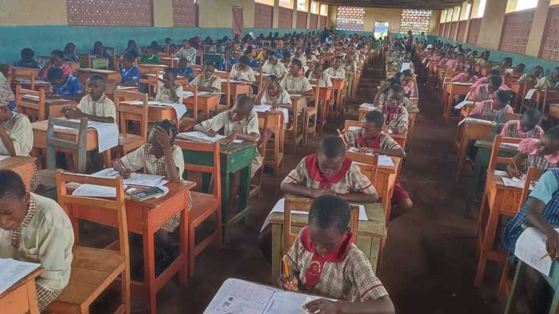 Pupils pictured sitting and writing the National Common Entrance Examination in a large hall. Pupils pictured sitting and writing the National Common Entrance Examination in a large hall.