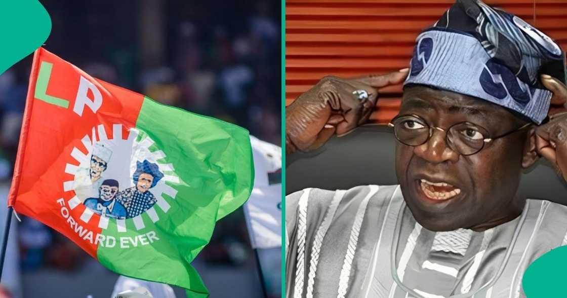 A top LP chieftain has uncovered who the party would field to battle Tinubu in 2027. A top LP chieftain has uncovered who the party would field to battle Tinubu in 2027.