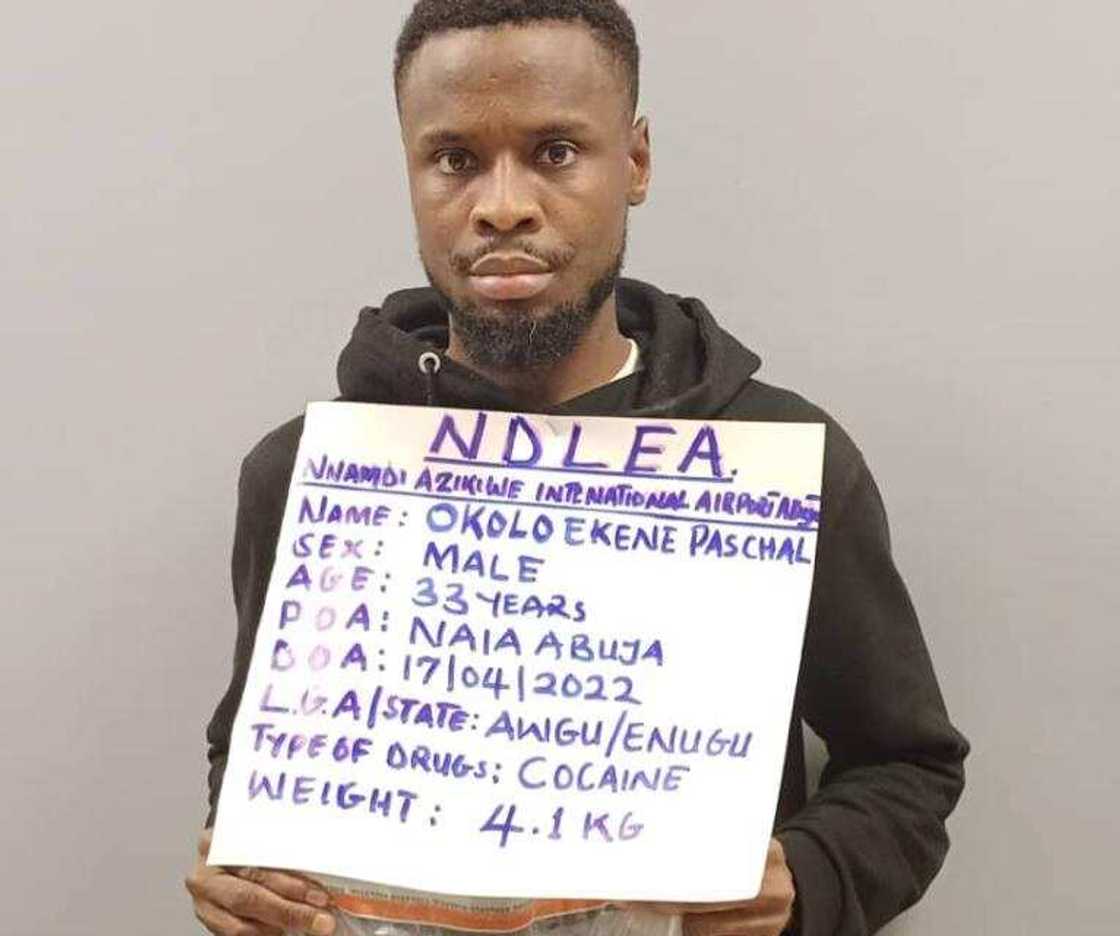 Abuja: NDLEA ta kama hodar iblis da aka yi mata basaja a jakunkunan ganyen shayi