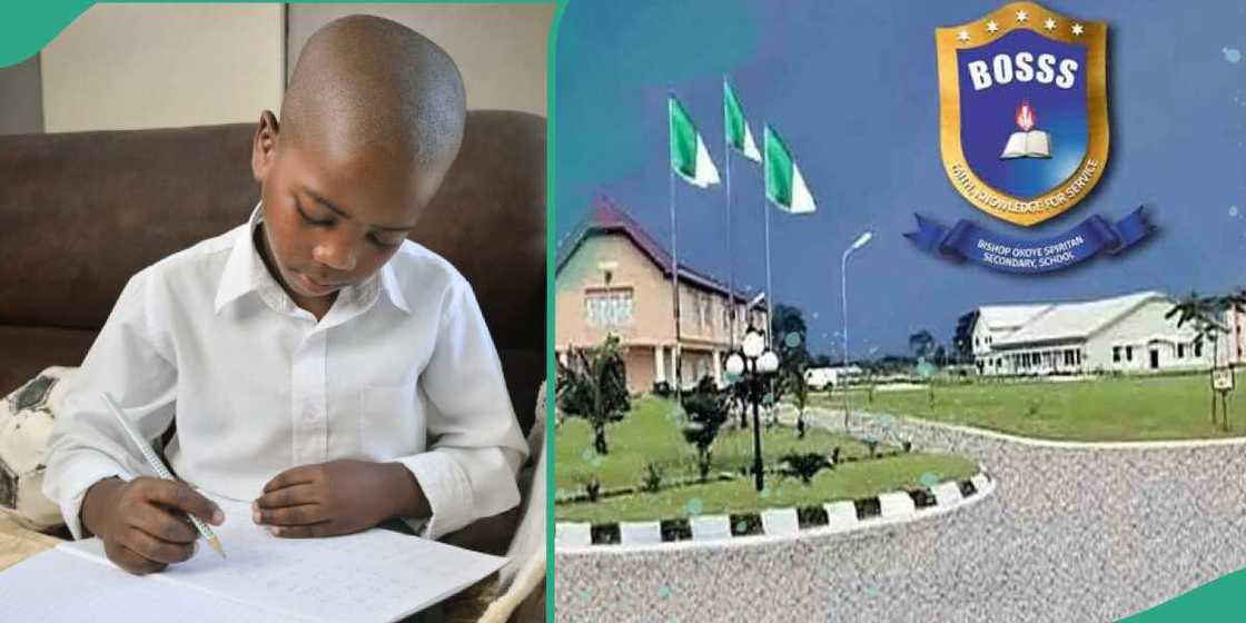 Port Harcourt Catholic schoolboy scores 366 in UTME